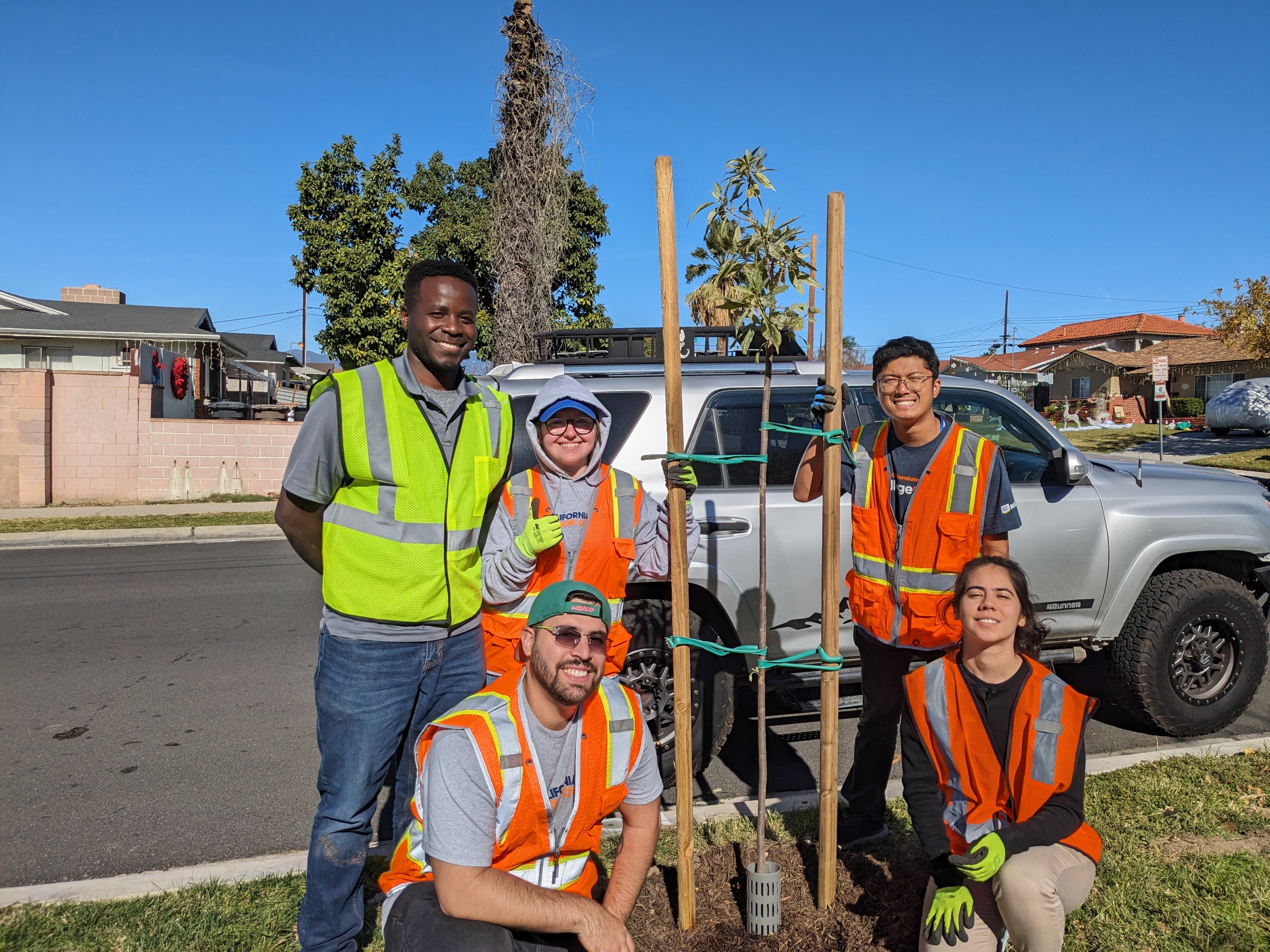 group photo tree people