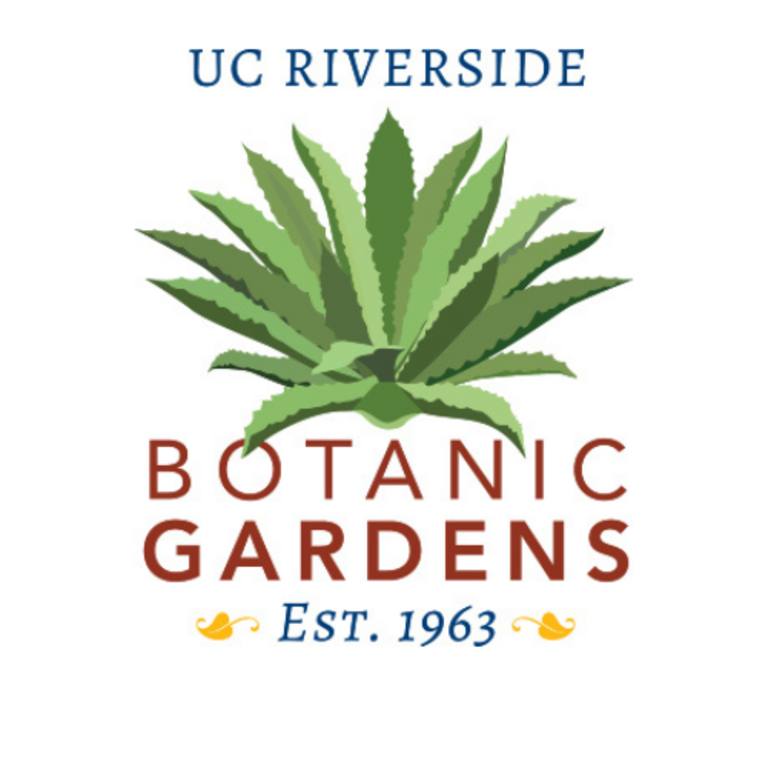 Agave Plant and UCR Botanical Gardens in text