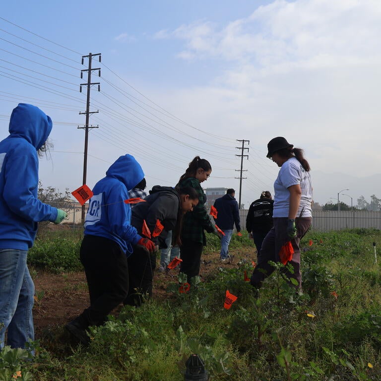Climate Action Cover Photo