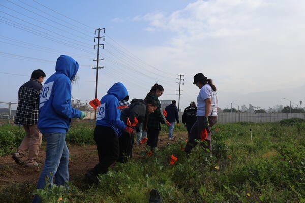 Climate Action Cover Photo
