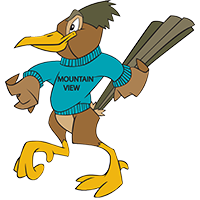 Mountain View Elementary School 